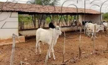 Imagem: Fazenda com 3 dormitórios à venda, 1900000