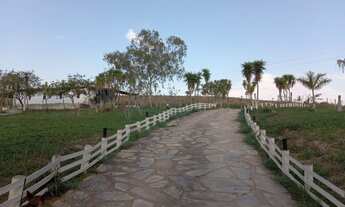 Imagem 7: Casa com 2.3 hectares com 04 quartos á venda por 1.500.000,00 para