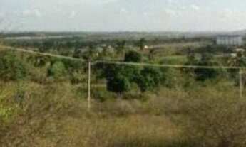 Imagem 2: Terreno à venda, 320 m² por r$ 45.000 - bairro novo - guarabira/pb para