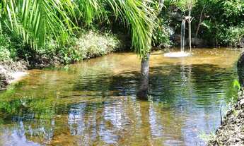 Imagem: Granja 16 hectares a venda por R$1.400.000,00