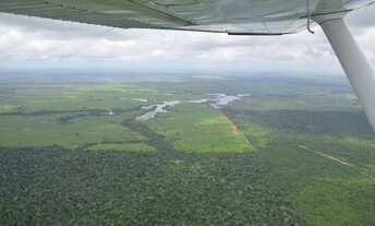 Imagem 2: Fazenda 15.343 hectares Paragominas, a venda por R$400.000.000,00