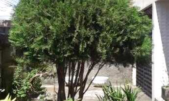 Imagem 1: Casa com 6 dormitórios à venda, 459 m² por r$ 720.000,00 - torre - joão pessoa/pb para