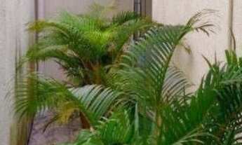 Imagem 4: Casa com 3 dormitórios à venda, 300 m² por r$ 460.000,00 - cuiá - joão pessoa/pb para