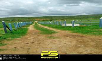 Imagem: Fazenda para vender com 14 hectares em alagoinha