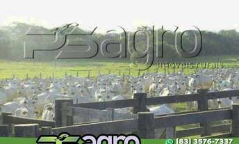 Imagem: Fazenda à venda, 780000 m² por r$ 1.400.000.000,00