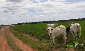Imagem 7: Fazenda à venda com repasse de arrendamento, 89000000 m² por r$ 999.999.999 - novo horizon