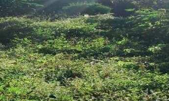 Imagem 3: Terreno para alugar, 1280 m² por r$ 10.000/mês - bessa - joão pessoa/pb para