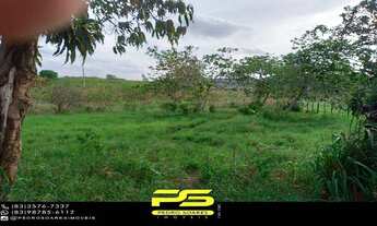 Imagem 3: Fazenda para vender com 14 hectares em alagoinha - pb, por r$ 750.000,00 para