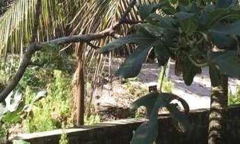 Imagem 6: Casa com 2 dormitórios à venda, 1200 m² por r$ 630.000,00 - sibaúma - tibau do sul/rn para