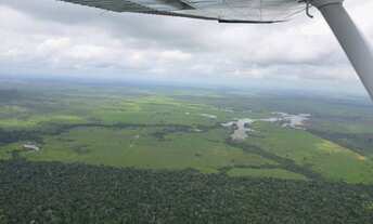 Imagem 7: Fazenda 15.343 hectares Paragominas, a venda por R$400.000.000,00