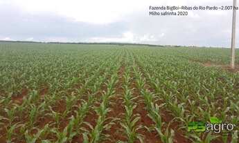 Imagem 6: Fazenda à venda, 20070000 m² por r$ 70.245.000,00 - centro - ribas do rio pardo/ms para