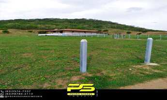 Imagem 7: Fazenda para vender com 14 hectares em alagoinha - pb, por r$ 750.000,00 para