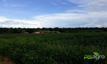 Imagem 5: Fazenda à venda, 48000000 m² por r$ 15.000.000 - menino deus - lucas do rio verde/mt para