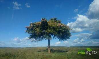 Imagem: Fazenda à venda, 190000000 m² por r$ 195.000.000