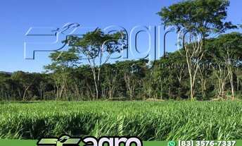 Imagem 7: Fazenda à venda, 780000 m² por r$ 1.400.000.000,00 - porto da manga - corumbá/ms para