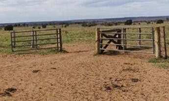 Imagem 6: Fazenda à venda, 19673 m² por r$ 650.000.000,00 - centro - ribas do rio pardo/ms para