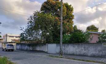 Imagem: Sitio com 2 casas 1800m² na torre, a venda