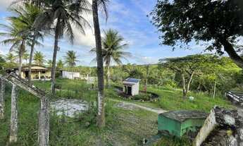 Imagem 2: Granja com 4 hectares por R$900.000,00