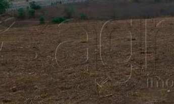 Imagem 6: Fazenda à venda, 100 mil m² por r$ 700.000 - velame - campina grande/pb para