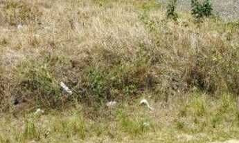 Imagem 4: Terreno à venda, 270 m² por r$ 100.000 - primavera - guarabira/pb para