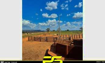 Imagem 4: Fazenda à venda, 4.095 alqueires por r$ 240.000.000 - ouro - barra do ouro/to para