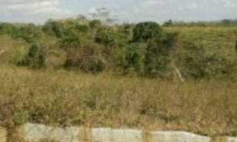 Imagem 3: Terreno à venda, 320 m² por r$ 45.000 - bairro novo - guarabira/pb para