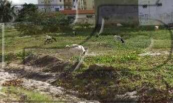 Imagem: Terreno à venda, 2640 m² por r$ 1.000.000