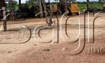 Imagem 2: Fazenda à venda, 105000 m² por r$ 23.000.000 - zona rural -to para