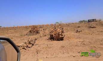 Imagem 6: Fazenda à venda, 34750000 m² por r$ 32.310.000 - na beira do asfalto a 90 km da capital de