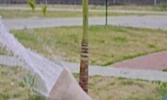 Imagem: Terreno à venda, 240 m² por r$ 90.000