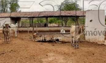 Imagem 6: Fazenda com 3 dormitórios à venda, 1900000 m² por r$ 900.000,00 - 00 - sumé/pb para