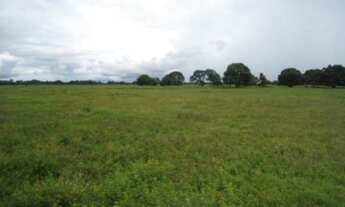 Imagem 2: Fazenda à venda, 88.000 hectares por r$ 132.000.000 - centro - poconé/mt para