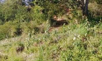 Imagem 2: Terreno à venda, 900 m² por r$ 110.000 - bananeiras - bananeiras/pb para