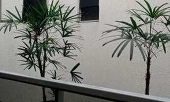 Imagem 4: Apartamento com 2 dormitórios à venda, 58 m² por r$ 179.000,00 - ernesto geisel - joão pes