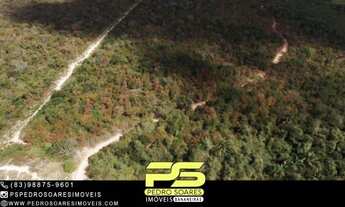 Imagem: Fazenda em colônia do gurguéia á venda