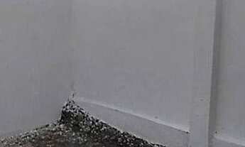 Imagem 2: Casa com 3 dormitórios à venda, 62 m² por r$ 120.000,00 - alto do mateus - joão pessoa/pb