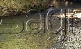 Imagem 4: Fazenda à venda, 53240 m² por r$ 20.000.000,00 - s - são salvador do tocantins/to para