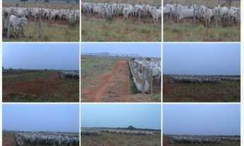 Imagem: Fazenda 10.280 hectares a venda por R$700.000.000,00