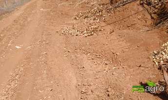 Imagem 5: Fazenda à venda, 34750000 m² por r$ 32.310.000 - na beira do asfalto a 90 km da capital de