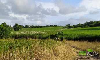Imagem 6: Fazenda à venda, 1200000 m² por r$ 6.000.000 - 500 metro da pista da br de joão pessoa/rec