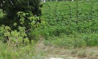 Imagem: Oportunidade ) fazenda à venda, 80 hectares