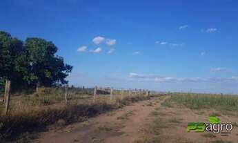 Imagem 5: Fazenda à venda para arrendamento , 12000000 m² por r$ 999.999.999 - centro - ipiranga do
