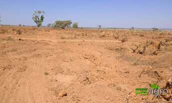 Imagem 4: Fazenda à venda, 34750000 m² por r$ 32.310.000 - na beira do asfalto a 90 km da capital de