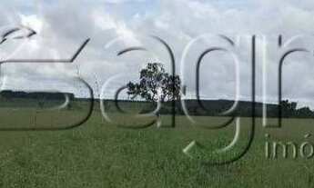 Imagem: Fazenda à venda, 12250 hectares por r$