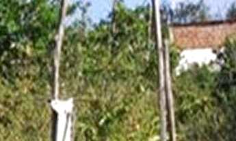 Imagem 2: Terreno à venda, 1100 m² por r$ 130.000 - lot. praia do sol - joão pessoa/pb para