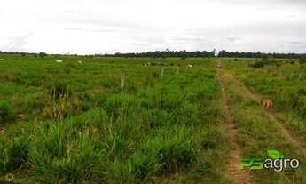 Imagem 2: Fazenda à venda, 24103200 m² por r$ 18.000.000 - zona rural/mt para