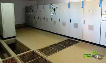 Imagem 5: Fazenda à venda, 12800000 m² por r$ 190.180.000 - cidade de natividade/to para