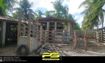 Imagem 5: Fazenda à venda, 50 hectares em mataraca por r$ 2.800.000 para