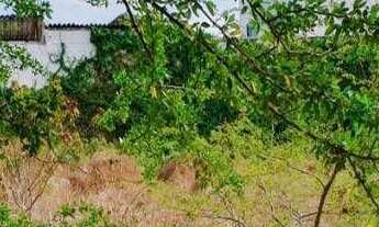 Imagem 3: Terreno à venda, 2100 m² por r$ 950.000 - jardim camboinha - cabedelo/pb para