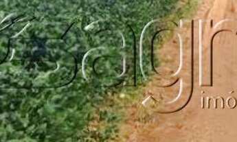 Imagem 4: Fazenda à venda, 390000 m² por r$ 500.000.000,00 - centro - santa terezinha/sc para